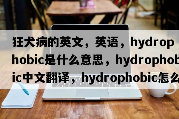 狂犬病的英文，英語(yǔ)，hydrophobic是什么意思，hydrophobic中文翻譯，hydrophobic怎么讀、發(fā)音、用法及例句