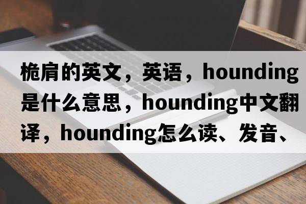 桅肩的英文，英語，hounding是什么意思，hounding中文翻譯，hounding怎么讀、發(fā)音、用法及例句