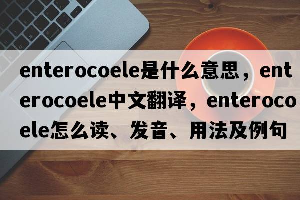 enterocoele是什么意思，enterocoele中文翻譯，enterocoele怎么讀、發(fā)音、用法及例句