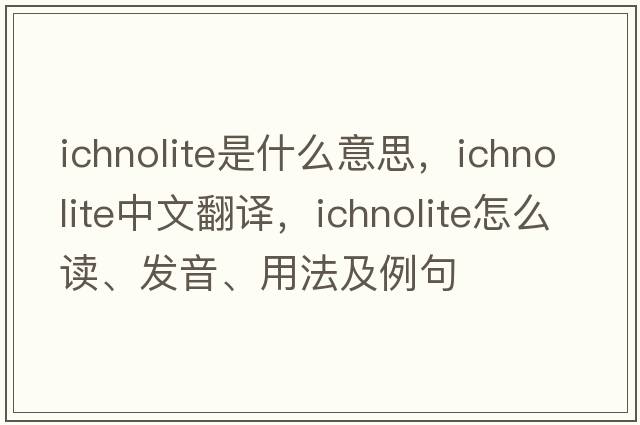 ichnolite是什么意思，ichnolite中文翻譯，ichnolite怎么讀、發(fā)音、用法及例句