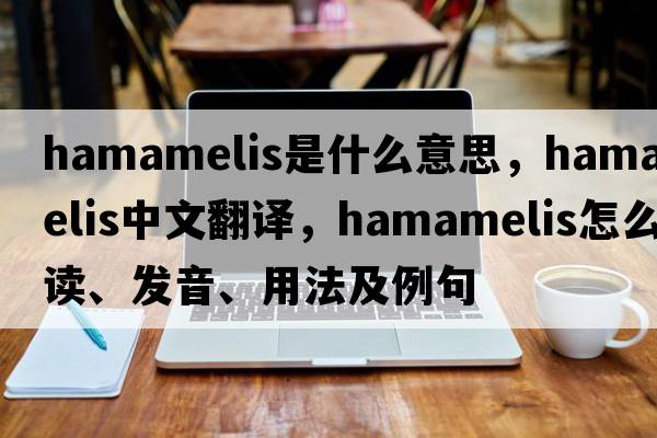 hamamelis是什么意思，hamamelis中文翻譯，hamamelis怎么讀、發(fā)音、用法及例句