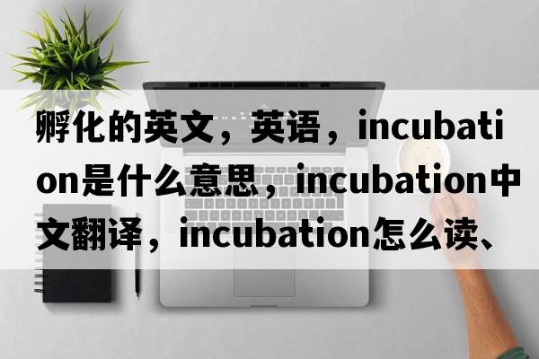 孵化的英文，英語(yǔ)，incubation是什么意思，incubation中文翻譯，incubation怎么讀、發(fā)音、用法及例句
