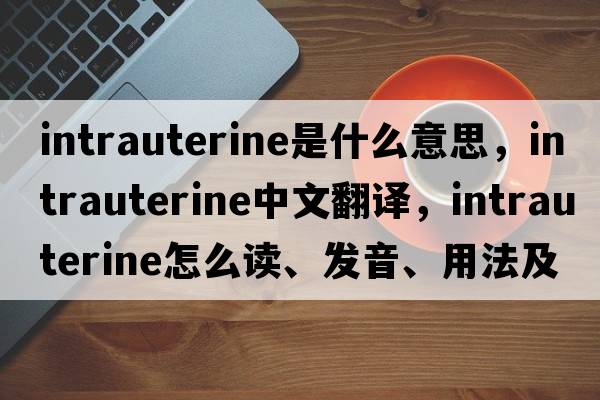 intrauterine是什么意思，intrauterine中文翻譯，intrauterine怎么讀、發(fā)音、用法及例句