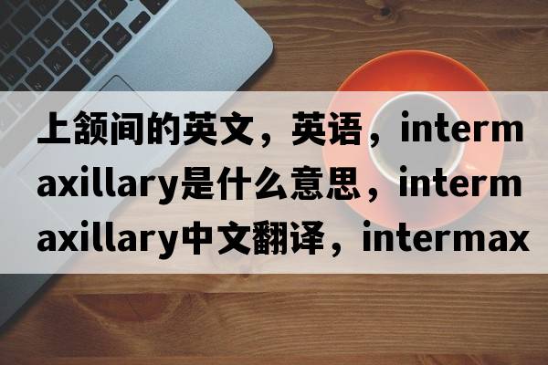 上頷間的英文，英語(yǔ)，intermaxillary是什么意思，intermaxillary中文翻譯，intermaxillary怎么讀、發(fā)音、用法及例句