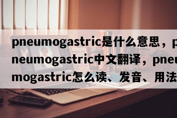 pneumogastric是什么意思，pneumogastric中文翻譯，pneumogastric怎么讀、發(fā)音、用法及例句