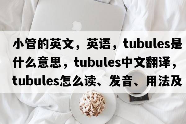 小管的英文，英語，Tubules是什么意思，Tubules中文翻譯，Tubules怎么讀、發(fā)音、用法及例句