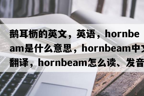 鵝耳櫪的英文，英語(yǔ)，hornbeam是什么意思，hornbeam中文翻譯，hornbeam怎么讀、發(fā)音、用法及例句