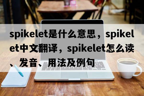 spikelet是什么意思，spikelet中文翻譯，spikelet怎么讀、發(fā)音、用法及例句