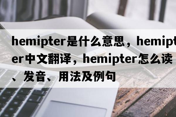 hemipter是什么意思，hemipter中文翻譯，hemipter怎么讀、發(fā)音、用法及例句