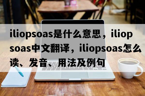 iliopsoas是什么意思，iliopsoas中文翻譯，iliopsoas怎么讀、發(fā)音、用法及例句