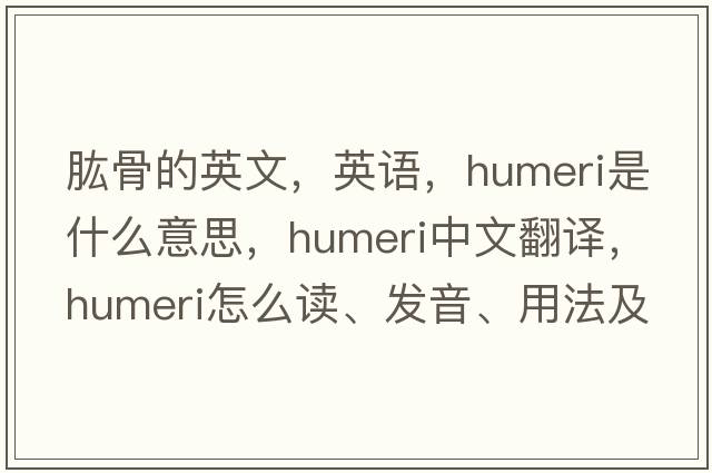 肱骨的英文，英語，humeri是什么意思，humeri中文翻譯，humeri怎么讀、發(fā)音、用法及例句