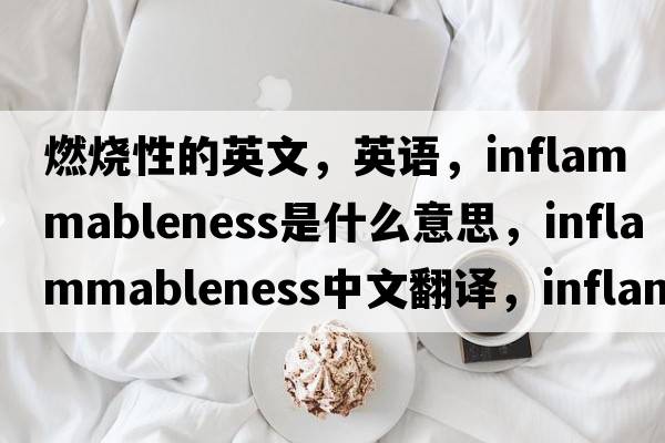燃燒性的英文，英語(yǔ)，inflammableness是什么意思，inflammableness中文翻譯，inflammableness怎么讀、發(fā)音、用法及例句