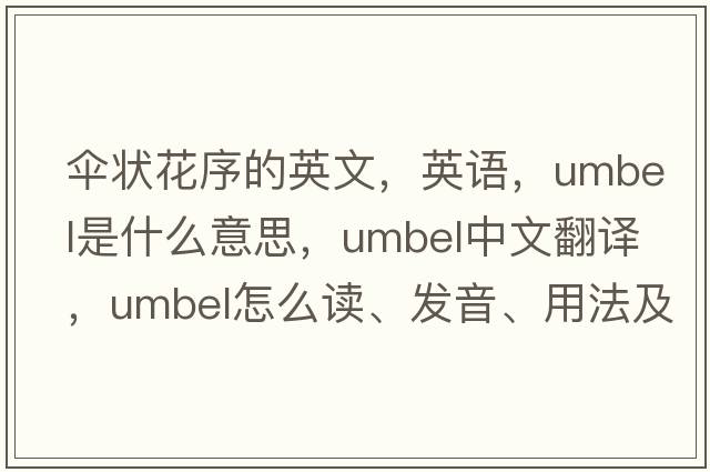 傘狀花序的英文，英語，umbel是什么意思，umbel中文翻譯，umbel怎么讀、發(fā)音、用法及例句