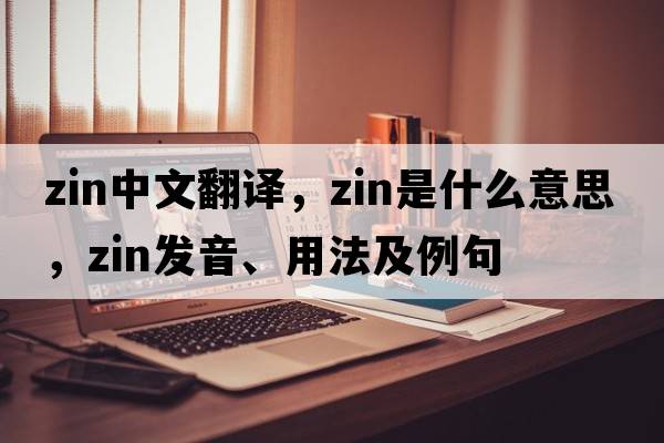 ZiN中文翻譯，ZiN是什么意思，ZiN發(fā)音、用法及例句