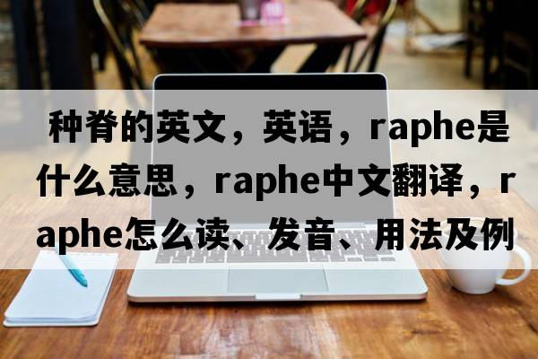  種脊的英文，英語，raphe是什么意思，raphe中文翻譯，raphe怎么讀、發(fā)音、用法及例句
