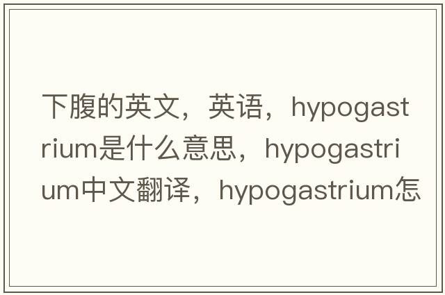 下腹的英文，英語，hypogastrium是什么意思，hypogastrium中文翻譯，hypogastrium怎么讀、發(fā)音、用法及例句