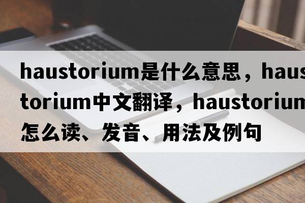 haustorium是什么意思，haustorium中文翻譯，haustorium怎么讀、發(fā)音、用法及例句