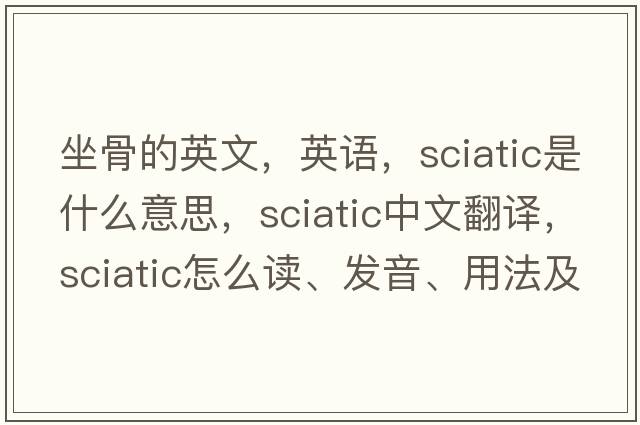 坐骨的英文，英語，sciatic是什么意思，sciatic中文翻譯，sciatic怎么讀、發(fā)音、用法及例句