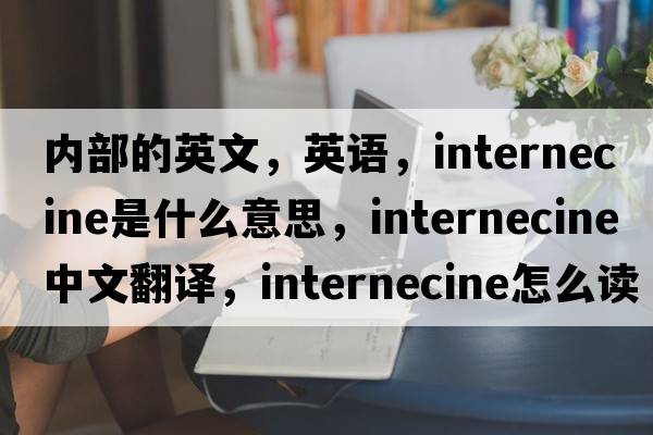 內(nèi)部的英文，英語，internecine是什么意思，internecine中文翻譯，internecine怎么讀、發(fā)音、用法及例句