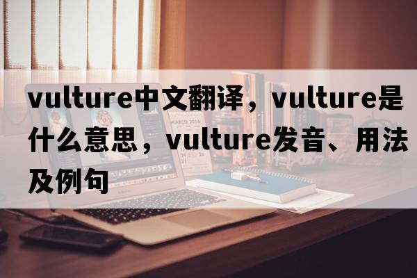 vulture中文翻譯，vulture是什么意思，vulture發(fā)音、用法及例句
