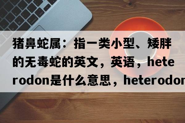 豬鼻蛇屬：指一類小型、矮胖的無毒蛇的英文，英語，Heterodon是什么意思，Heterodon中文翻譯，Heterodon怎么讀、發(fā)音、用法及例句