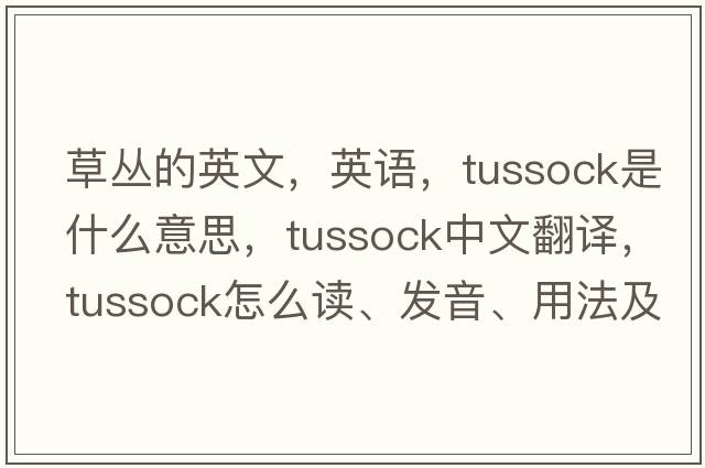 草叢的英文，英語，tussock是什么意思，tussock中文翻譯，tussock怎么讀、發(fā)音、用法及例句