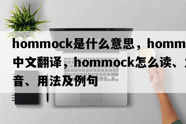 hommock是什么意思，hommock中文翻譯，hommock怎么讀、發(fā)音、用法及例句