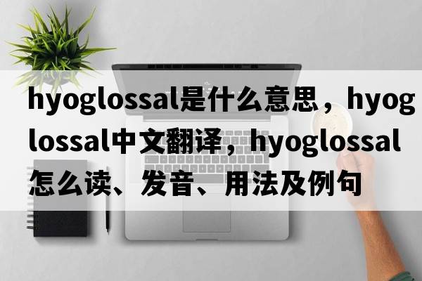 hyoglossal是什么意思，hyoglossal中文翻譯，hyoglossal怎么讀、發(fā)音、用法及例句