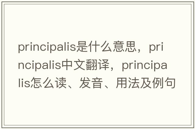 principalis是什么意思，principalis中文翻譯，principalis怎么讀、發(fā)音、用法及例句