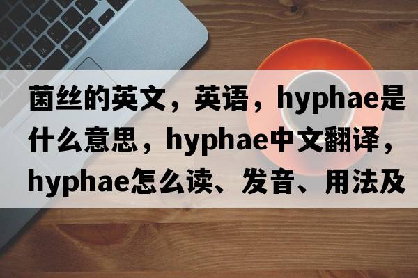 菌絲的英文，英語，hyphae是什么意思，hyphae中文翻譯，hyphae怎么讀、發(fā)音、用法及例句