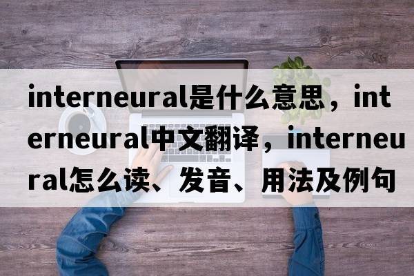 interneural是什么意思，interneural中文翻譯，interneural怎么讀、發(fā)音、用法及例句