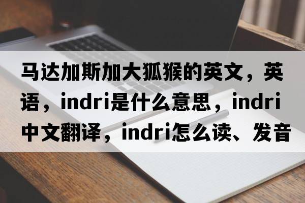 馬達(dá)加斯加大狐猴的英文，英語(yǔ)，indri是什么意思，indri中文翻譯，indri怎么讀、發(fā)音、用法及例句