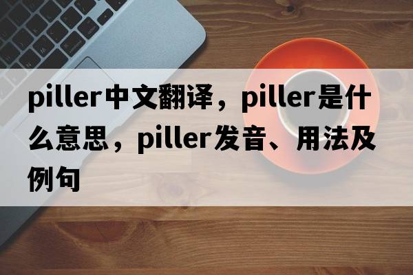 piller中文翻譯，piller是什么意思，piller發(fā)音、用法及例句