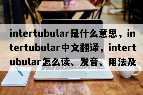 intertubular是什么意思，intertubular中文翻譯，intertubular怎么讀、發(fā)音、用法及例句