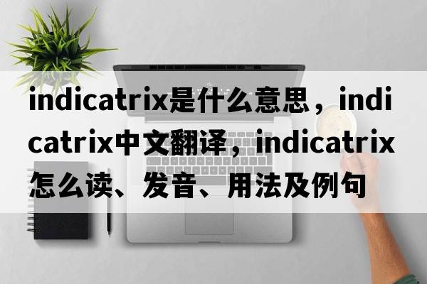 indicatrix是什么意思，indicatrix中文翻譯，indicatrix怎么讀、發(fā)音、用法及例句