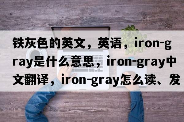 鐵灰色的英文，英語(yǔ)，iron-gray是什么意思，iron-gray中文翻譯，iron-gray怎么讀、發(fā)音、用法及例句