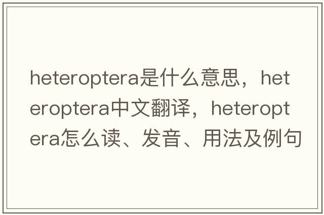 Heteroptera是什么意思，Heteroptera中文翻譯，Heteroptera怎么讀、發(fā)音、用法及例句