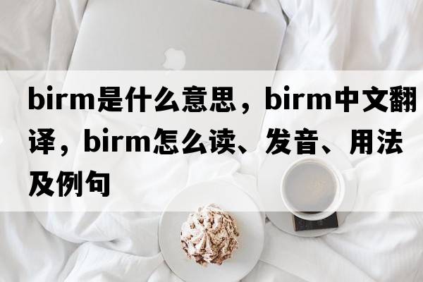 Birm是什么意思，Birm中文翻譯，Birm怎么讀、發(fā)音、用法及例句