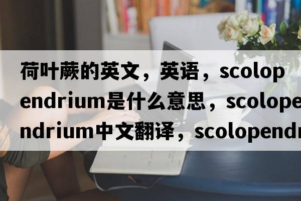 荷葉蕨的英文，英語，scolopendrium是什么意思，scolopendrium中文翻譯，scolopendrium怎么讀、發(fā)音、用法及例句