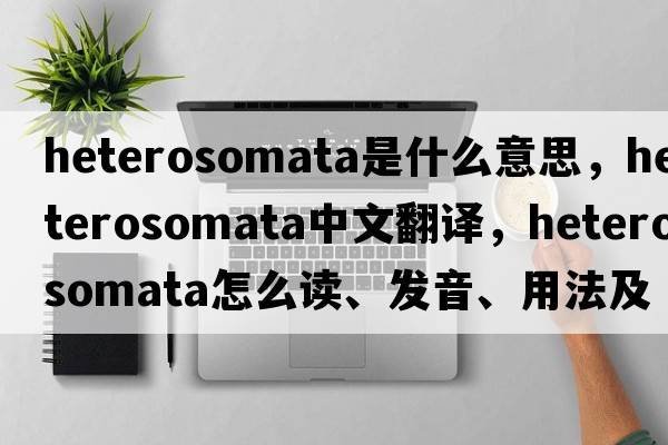 Heterosomata是什么意思，Heterosomata中文翻譯，Heterosomata怎么讀、發(fā)音、用法及例句