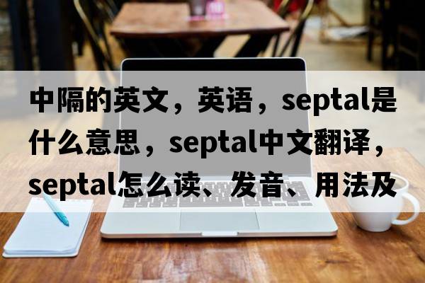 中隔的英文，英語(yǔ)，septal是什么意思，septal中文翻譯，septal怎么讀、發(fā)音、用法及例句