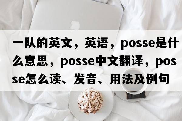 一隊(duì)的英文，英語(yǔ)，posse是什么意思，posse中文翻譯，posse怎么讀、發(fā)音、用法及例句