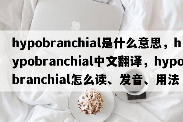 hypobranchial是什么意思，hypobranchial中文翻譯，hypobranchial怎么讀、發(fā)音、用法及例句