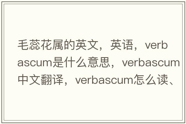 毛蕊花屬的英文，英語(yǔ)，Verbascum是什么意思，Verbascum中文翻譯，Verbascum怎么讀、發(fā)音、用法及例句