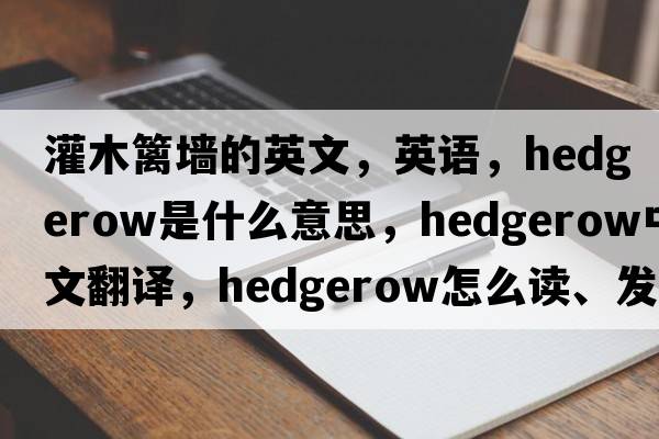 灌木籬墻的英文，英語，hedgerow是什么意思，hedgerow中文翻譯，hedgerow怎么讀、發(fā)音、用法及例句
