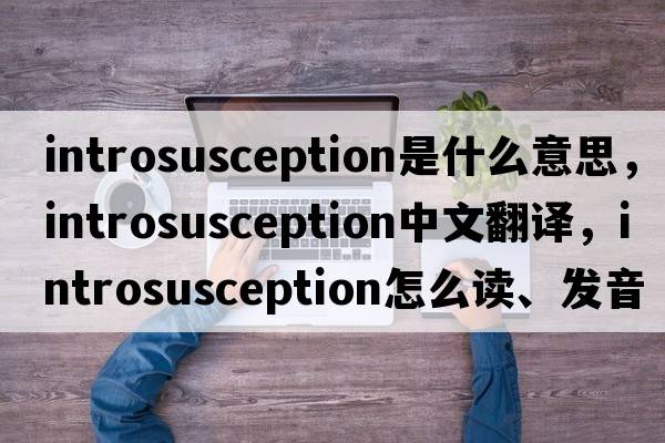 introsusception是什么意思，introsusception中文翻譯，introsusception怎么讀、發(fā)音、用法及例句