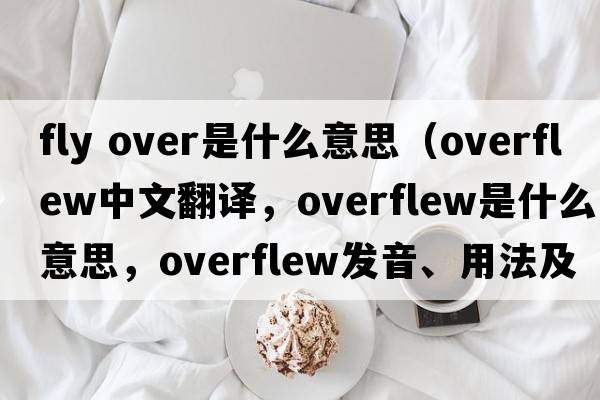 fly over是什么意思（overflew中文翻譯，overflew是什么意思，overflew發(fā)音、用法及例句）