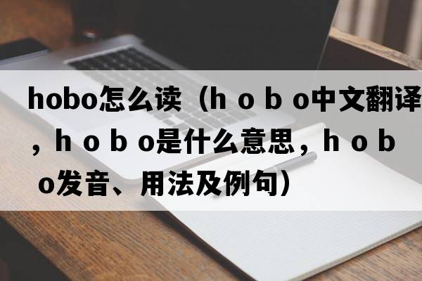 hobo怎么讀（h o b o中文翻譯，h o b o是什么意思，h o b o發(fā)音、用法及例句）