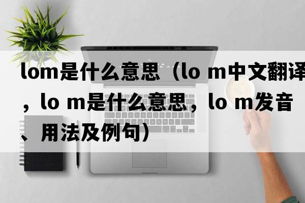 lom是什么意思（lo m中文翻譯，lo m是什么意思，lo m發(fā)音、用法及例句）