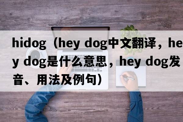 hidog（hey dog中文翻譯，hey dog是什么意思，hey dog發(fā)音、用法及例句）